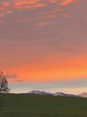 Ausblicke übers Jahr