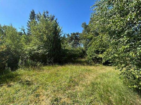 3031 Platz für Ihre Ideen  