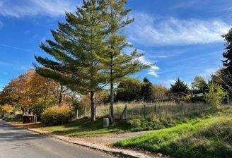 Grundstück Waltersleben