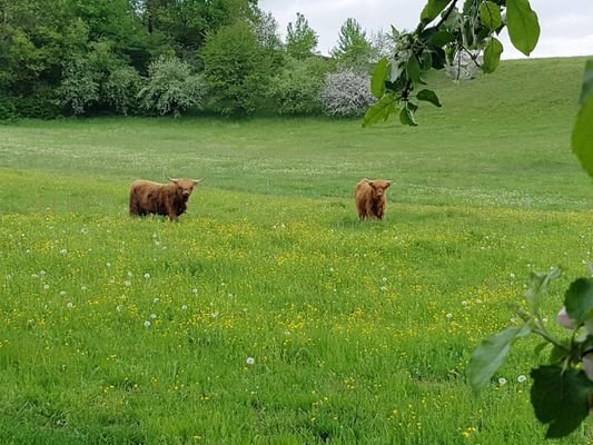 Aussicht obere Wiese