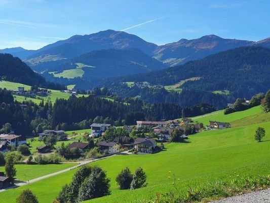 Bild 15
