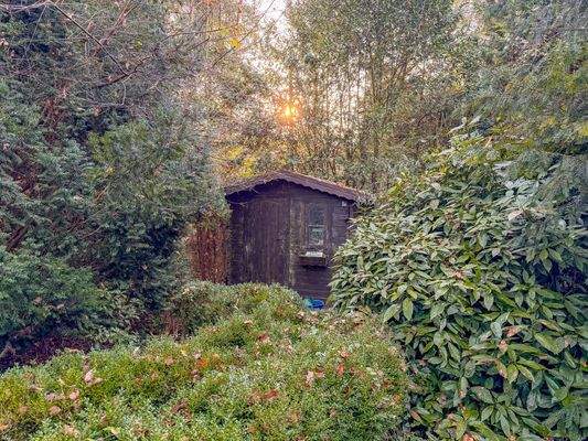 Weiteres Gartenhaus auf dem waldähnlichen Grundstück