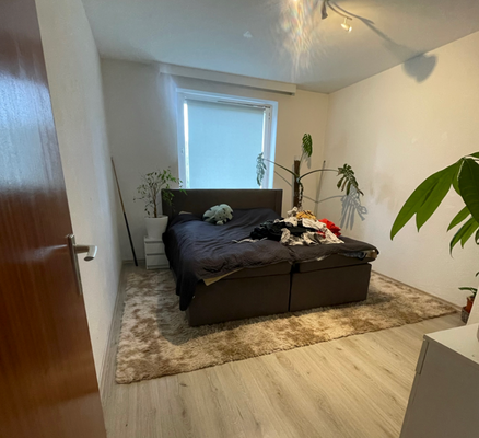 3-Zimmerwohnung im EG        .png