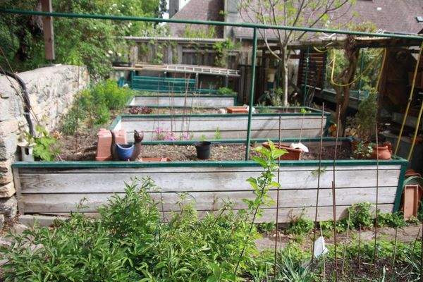 Garten mit Hochbeeten