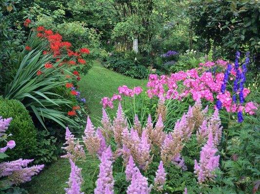 Farbenpracht im Garten (2025)