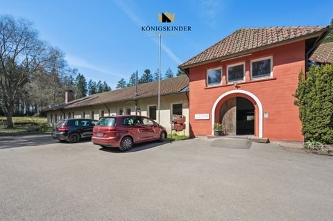 Hallwangen Wohnungen, Hallwangen Wohnung kaufen