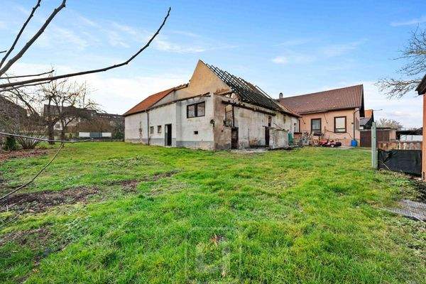 viel Platz zum Toben