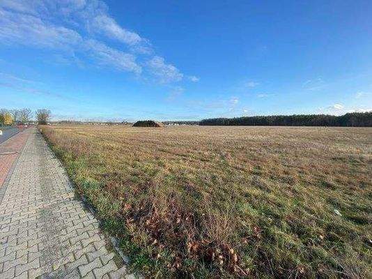 Blick auf das Grundstück