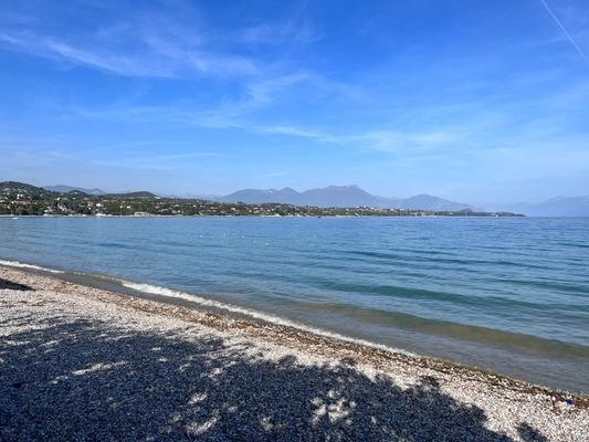IMG_4416.jpeg