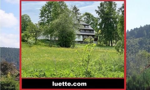 Dachsberg Häuser, Dachsberg Haus kaufen
