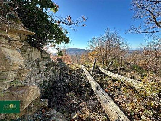 Baugrundstück mit Ruine