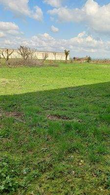 WhatsApp Image 2024-03-14 at 12.29.52.jpeg