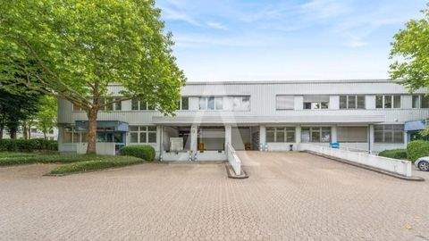 Erkrath Halle, Erkrath Hallenfläche