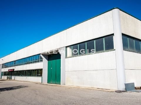 Weinheim Halle, Weinheim Hallenfläche