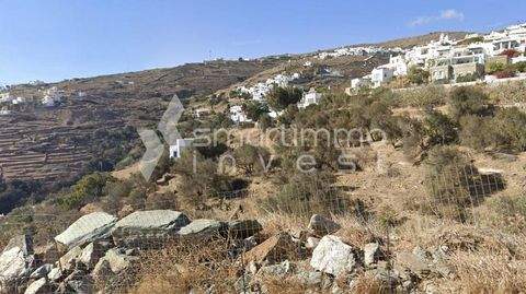 Triantaros, Tinos Bauernhöfe, Landwirtschaft, Triantaros, Tinos Forstwirtschaft