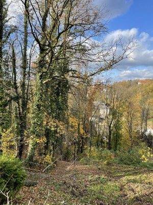 Blick nach Westen (2)