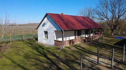 Izsák Häuser, Izsák Haus kaufen