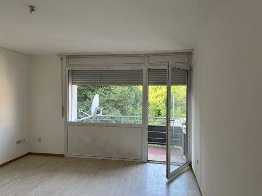 Wohnzimmer, Zugang aufs Balkon - 2 Zimmer WHG