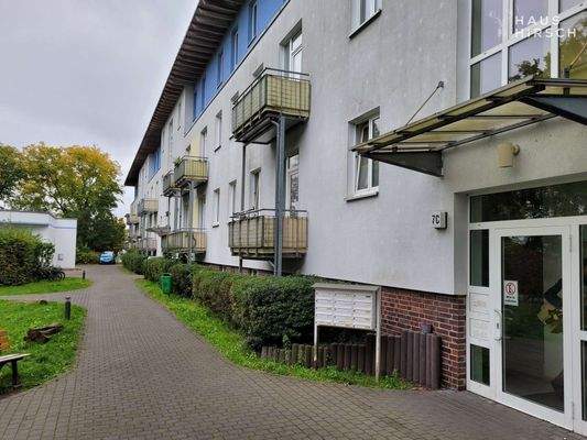 20251007_120101_resized