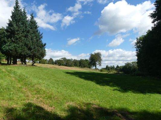 4d Blick Nord-Östlich (eventuelle Bebauung mit 1 Einfamilienhaus) .JPG