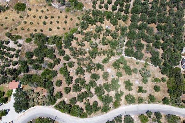 Kreta, Kalathas: Grundstück mit Meerblick in der Nähe des Strandes zu verkaufen