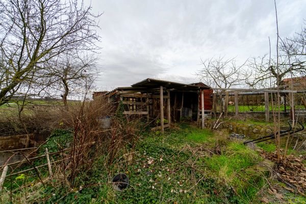 Außenansicht + Garten
