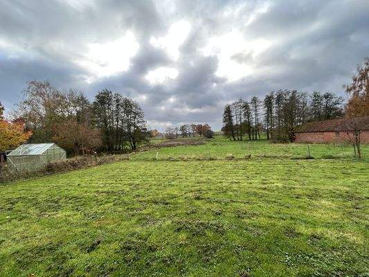 Ansicht hinten / Garten