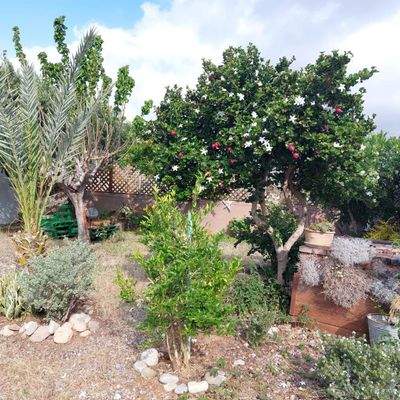 Ostkreta, Agkathia: Charmantes Steinhaus, 1,5 km vom Meer entfernt, zu verkaufen