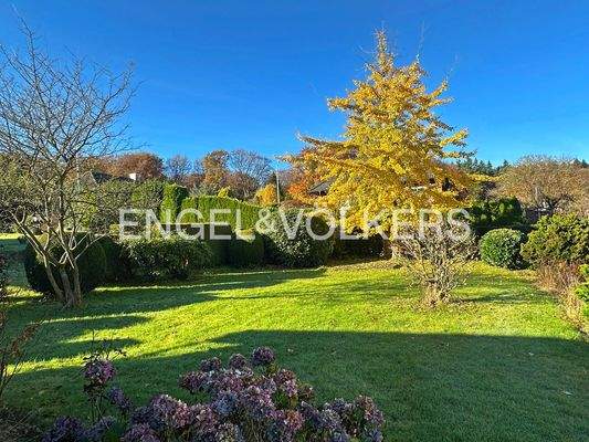 Viel Platz zum Spielen