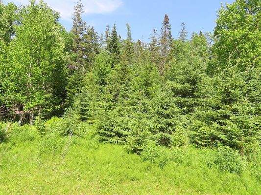 Cape Breton - Bras d`Or Lake - Preiswertes Baugrun