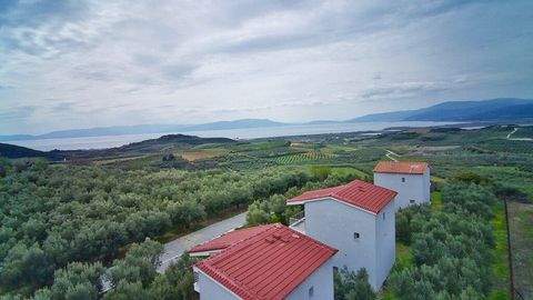 Kavala Wohnungen, Kavala Wohnung kaufen