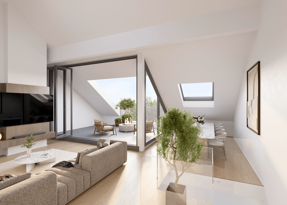 Zugang zur Dachterrasse.png