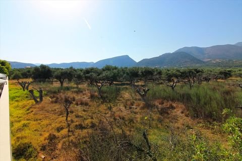 Kreta Bauernhöfe, Landwirtschaft, Kreta Forstwirtschaft