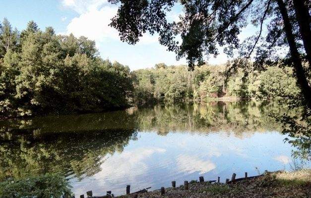 Nahe gelegener Gänseweiher