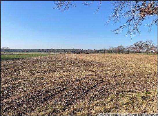 Beispielfoto Ackerland