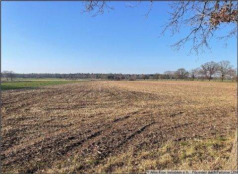 Warmsen Bauernhöfe, Landwirtschaft, Warmsen Forstwirtschaft