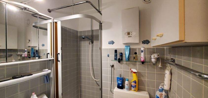 das moderne Duschbad