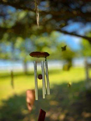 Bild 89