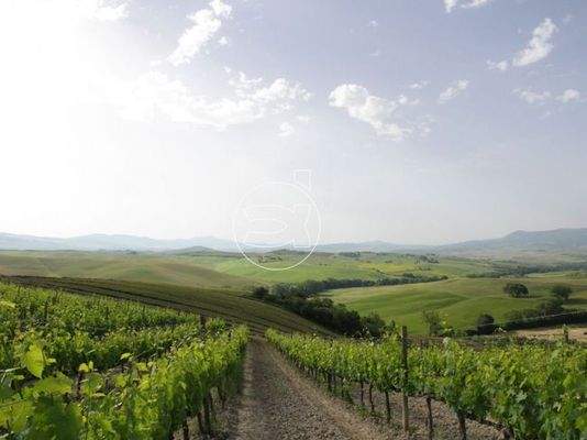 Haus in San Quirico d'Orcia