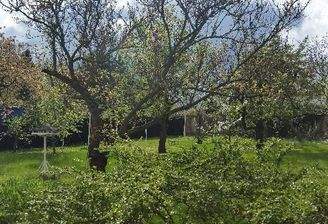 Gartenblick
