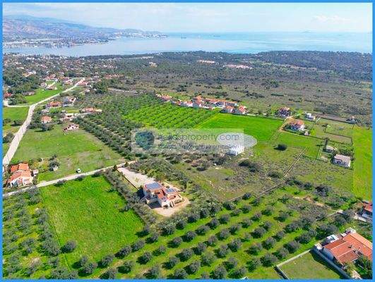 992bda6323db49aa9dd31405552dcc81-original