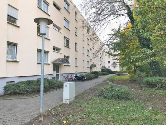 Schräge Hausansicht, Hauseingangstüren,  Steinweg und  Grünflächen vor dem Haus