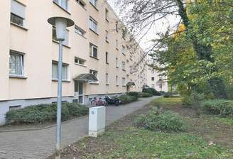 Schräge Hausansicht, Hauseingangstüren,  Steinweg und  Grünflächen vor dem Haus