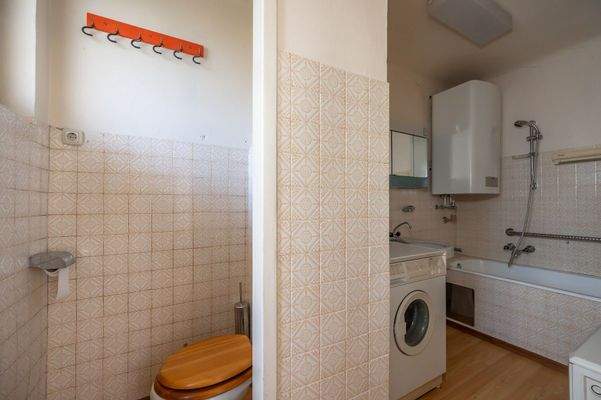 Altbestand im Grünland