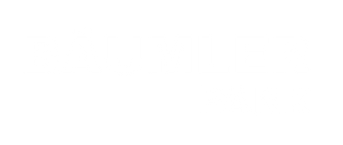 Hohenems Halle, Hohenems Hallenfläche