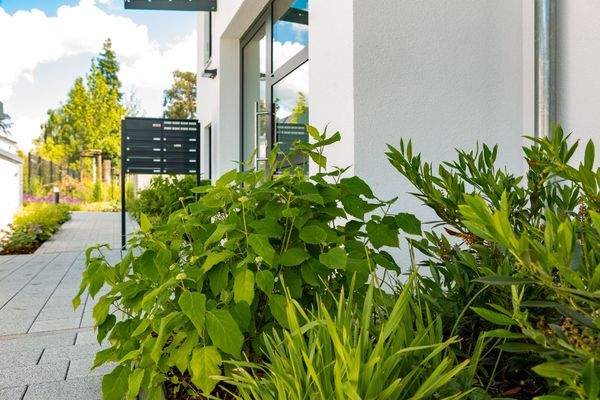 16_BV Bischofsweiherstr_Foto Anna Seibel.jpg