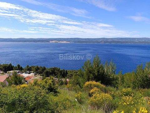 Omis Bauernhöfe, Landwirtschaft, Omis Forstwirtschaft