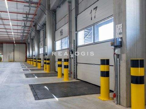 Berlin Halle, Berlin Hallenfläche