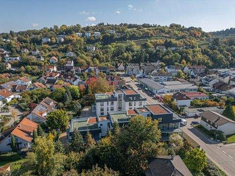 Weingarten Wohnungen, Weingarten Wohnung mieten