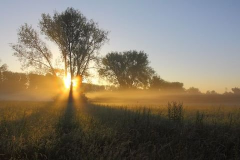 Bensheim Grundstücke, Bensheim Grundstück kaufen